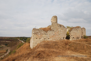 Замок в Чорнокозинцах: общий вид на руины с юга