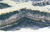 Троицкая церковь: раскопки 1993 – 1994 годов, микростратиграфия в районе апсиды храма
