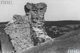 Замок в Старом Збаража - старое фото 2