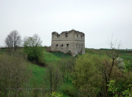 Сутковецкий замок: руины одной из угловых башен
