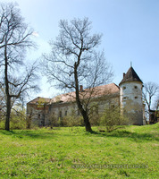 Поморянский замок: общий вид с северо-востока