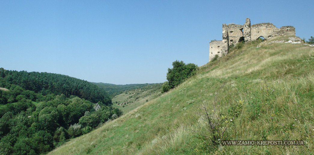 Кудринецкий замок - панорамный вид