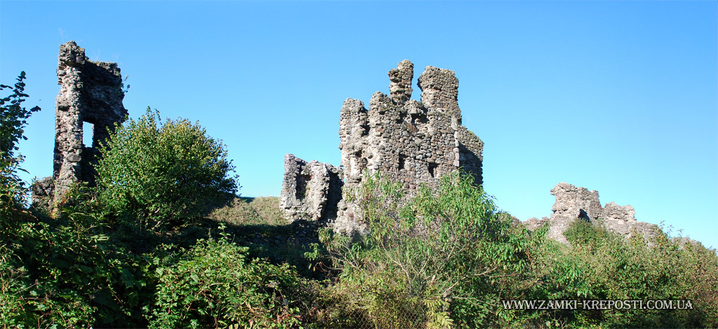 Виноградовский замок - общий вид с востока