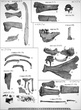 Квасовский замок: остеологический материал из раскопа I (1-й лист)