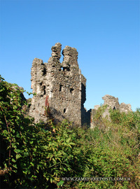 Виноградовский замок - руины восточной башни