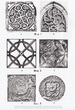 Троицкая церковь: типология орнаментов керамических плиток и их аналоги