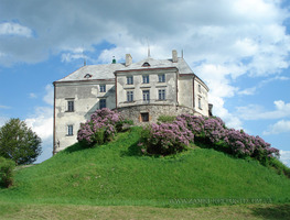 Олеский замок: общий вид с северо-запада