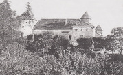 Заваловский замок на архивном фото