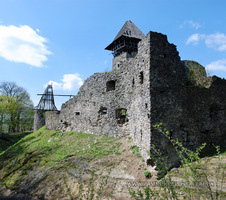 Невицкий замок: вид на руины с северо-востока