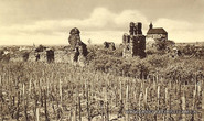 Виноградовский замок - архивное фото